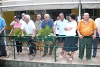 Clicca sulla foto per vedere ingrandimento